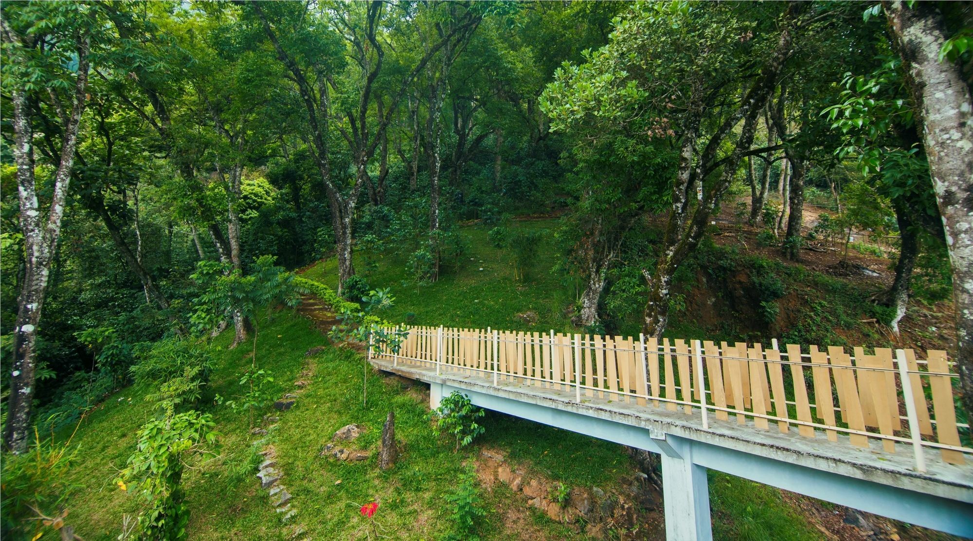 Forest Glade Resorts Chithirapuram ภายนอก รูปภาพ